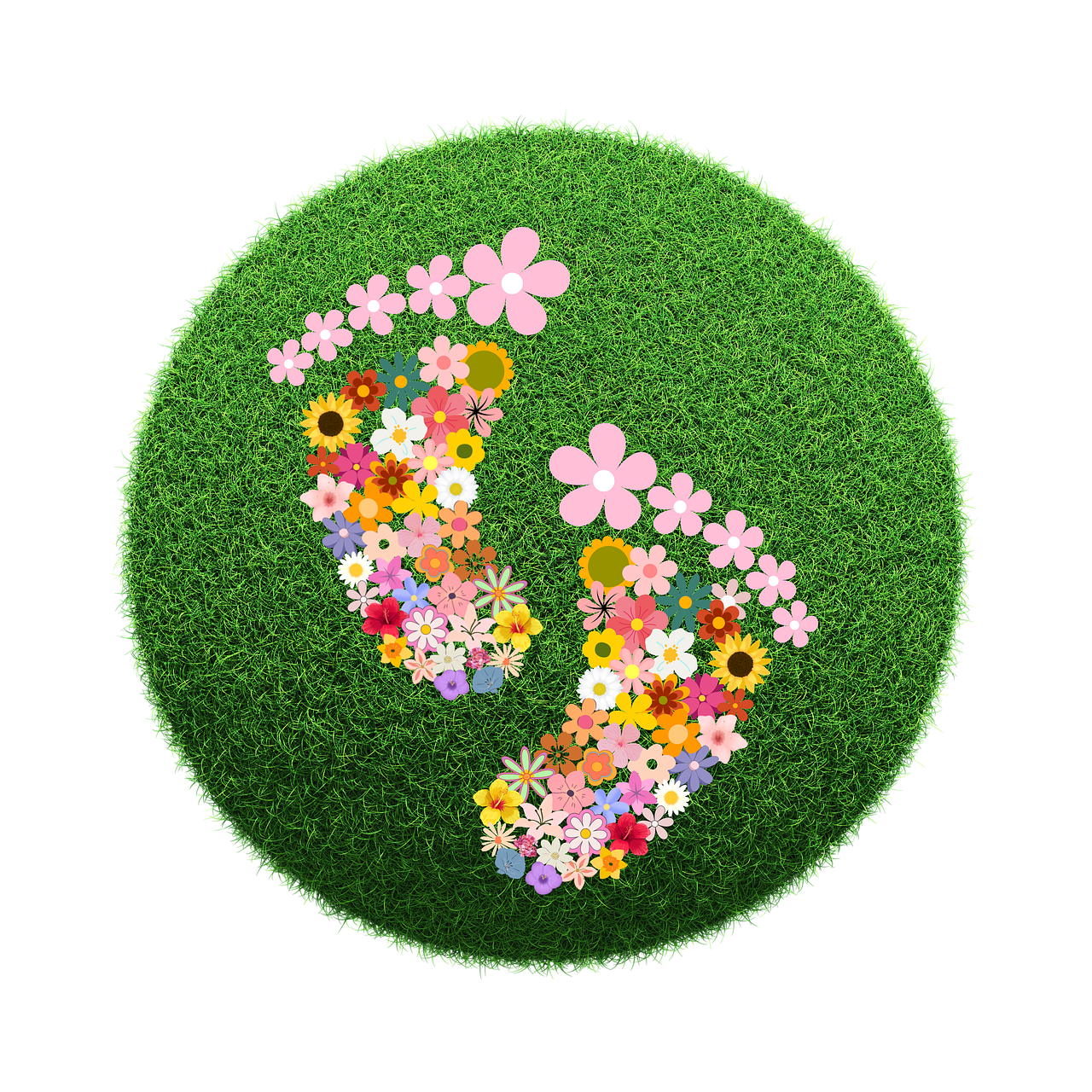 footprints, flower, grass-7355586.jpg